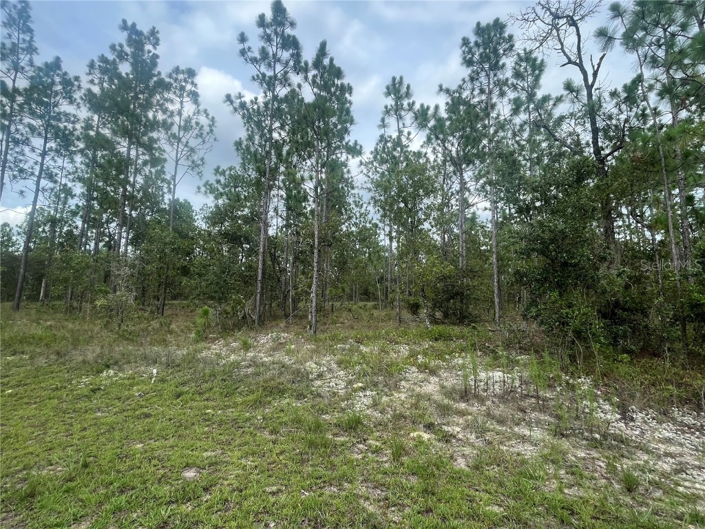 SE 134th Court Dunnellon FL 34431 OK224365 image1