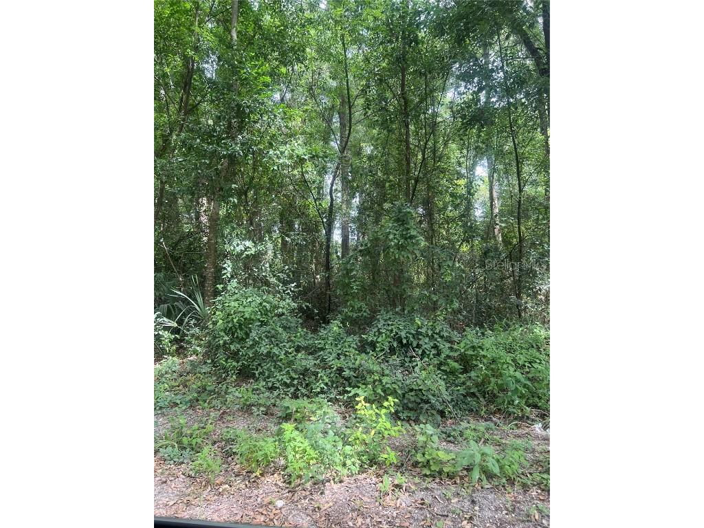SE 135 Lane #13 Summerfield FL 34491 O6200639 image1