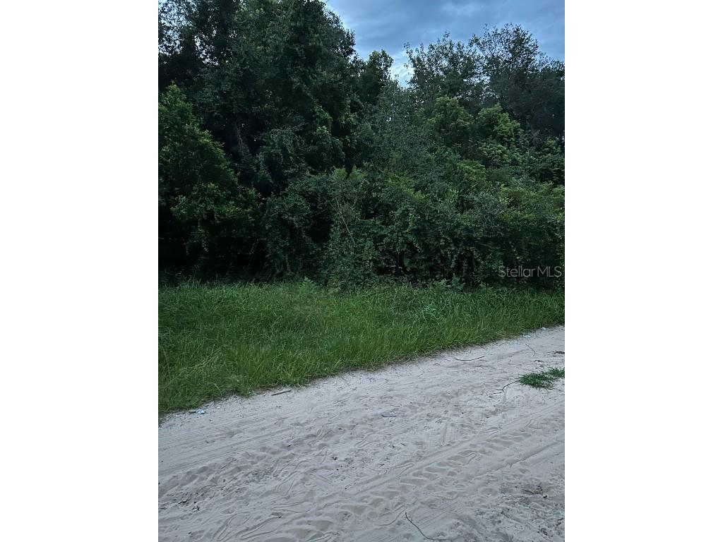 SE 135 Lane Umatilla FL 32784 A4672206 image1