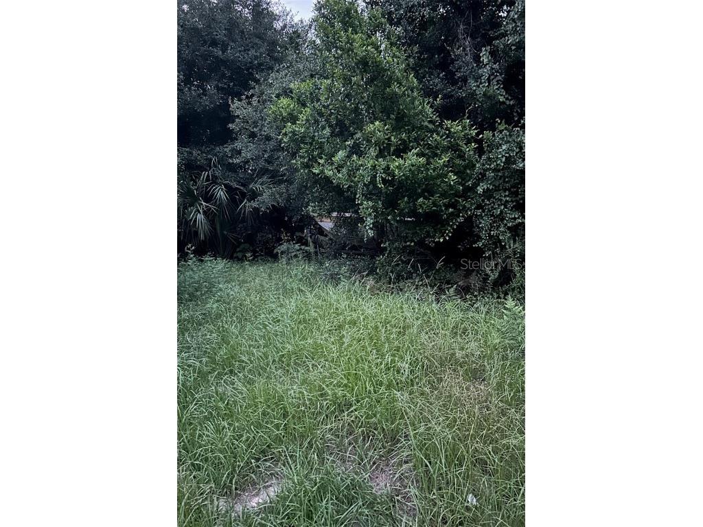 SE 135 Lane Umatilla FL 32784 A4672206 image2