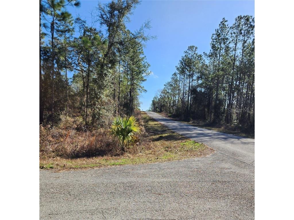 SE 135th Court Dunnellon FL 34431 V4928977 image1