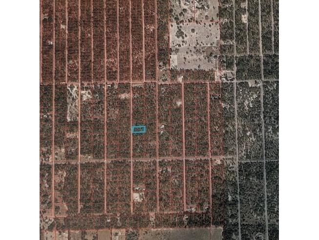 SE 135th Court Dunnellon FL 34431 OM713539 image2