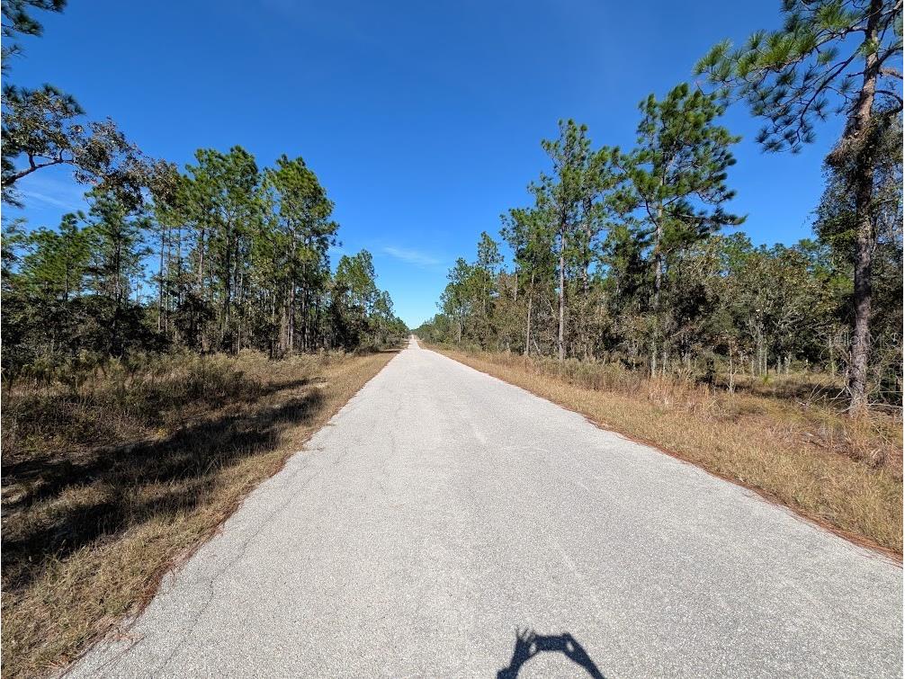 SE 135th Court Dunnellon FL 34431 OM713539 image3