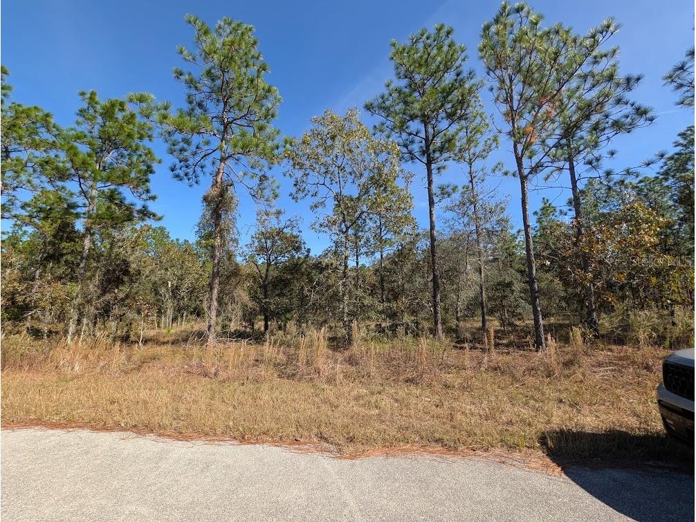 SE 135th Court Dunnellon FL 34431 OM713539 image4