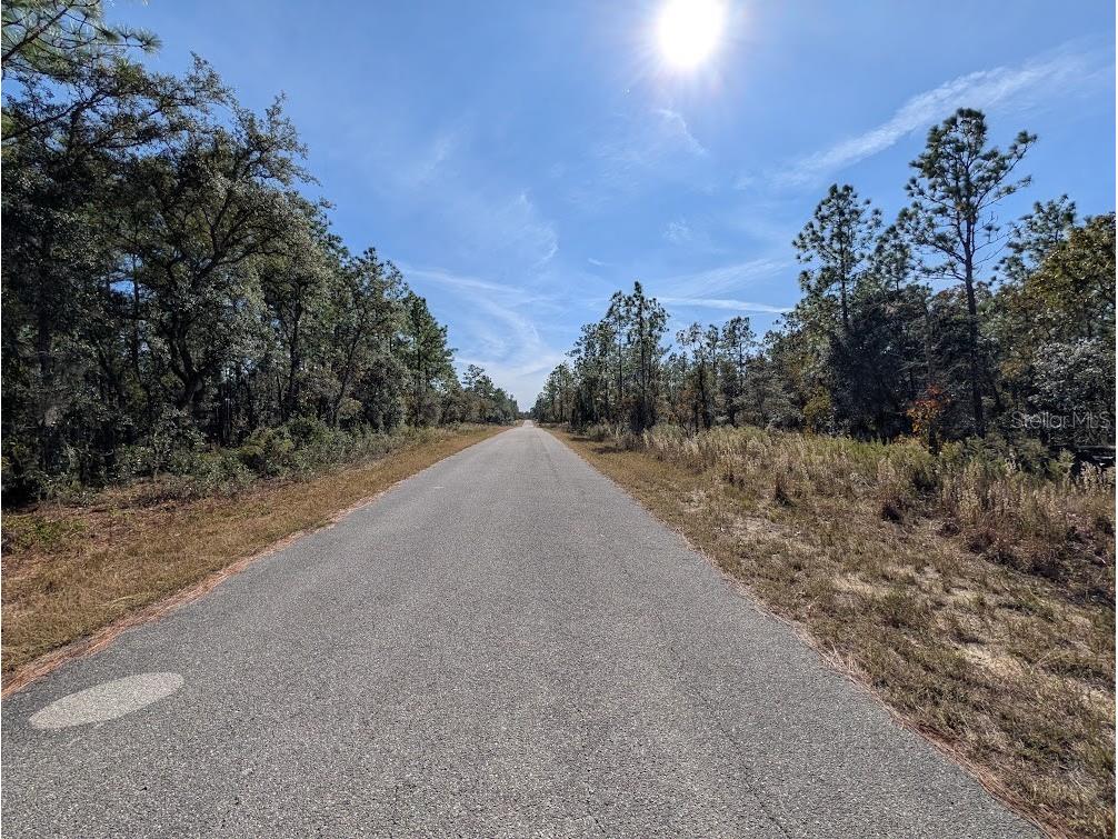 SE 135th Court Dunnellon FL 34431 OM713539 image5