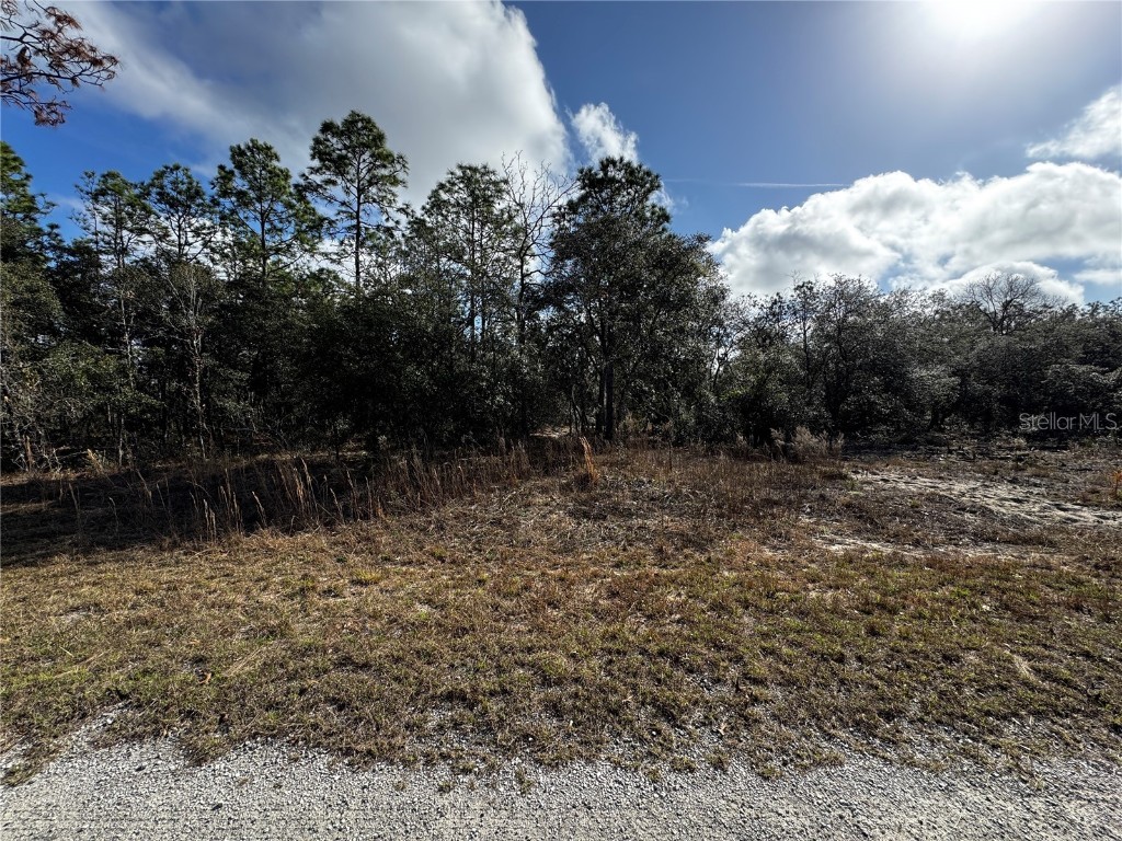 SE 135th Court Dunnellon FL 34431 TB8350703 image1