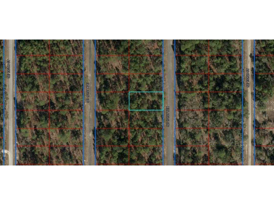 Se 135th Dunnellon FL 34431 C7487054 image1