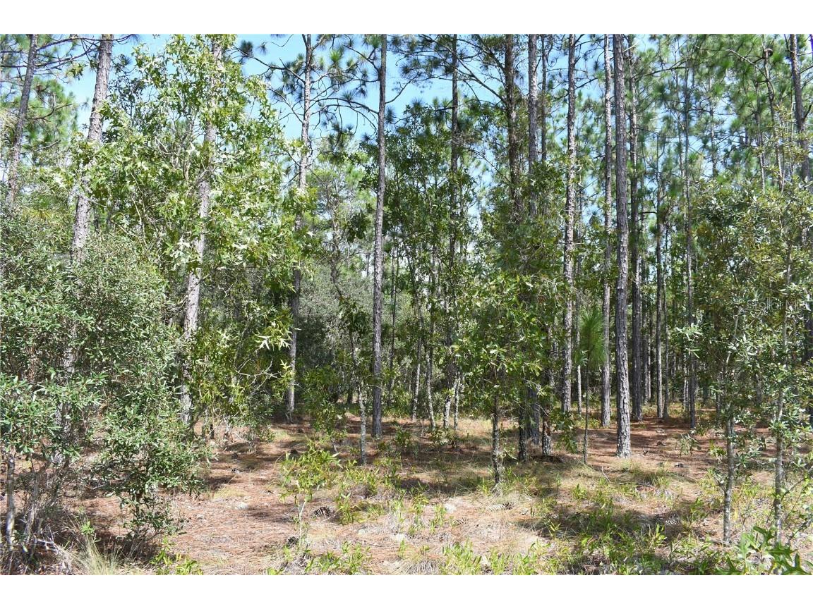 SE 136th Avenue Dunnellon FL 34431 GC524124 image1