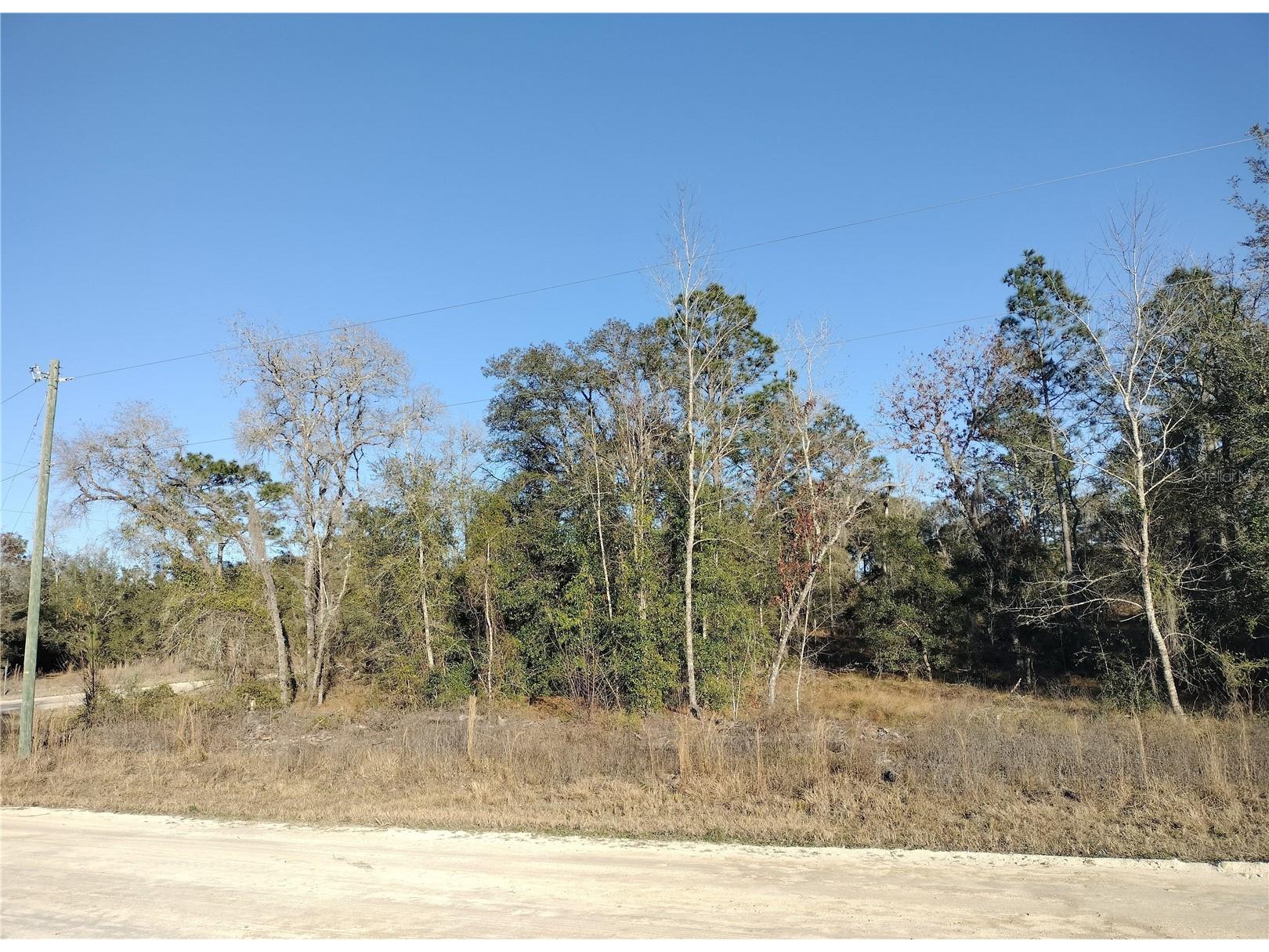 SE 136th Avenue Morriston FL 32668 OM717150 image1