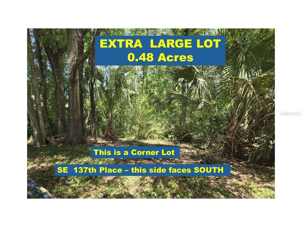 SE 137 Place Summerfield FL 34491 OM676507 image1