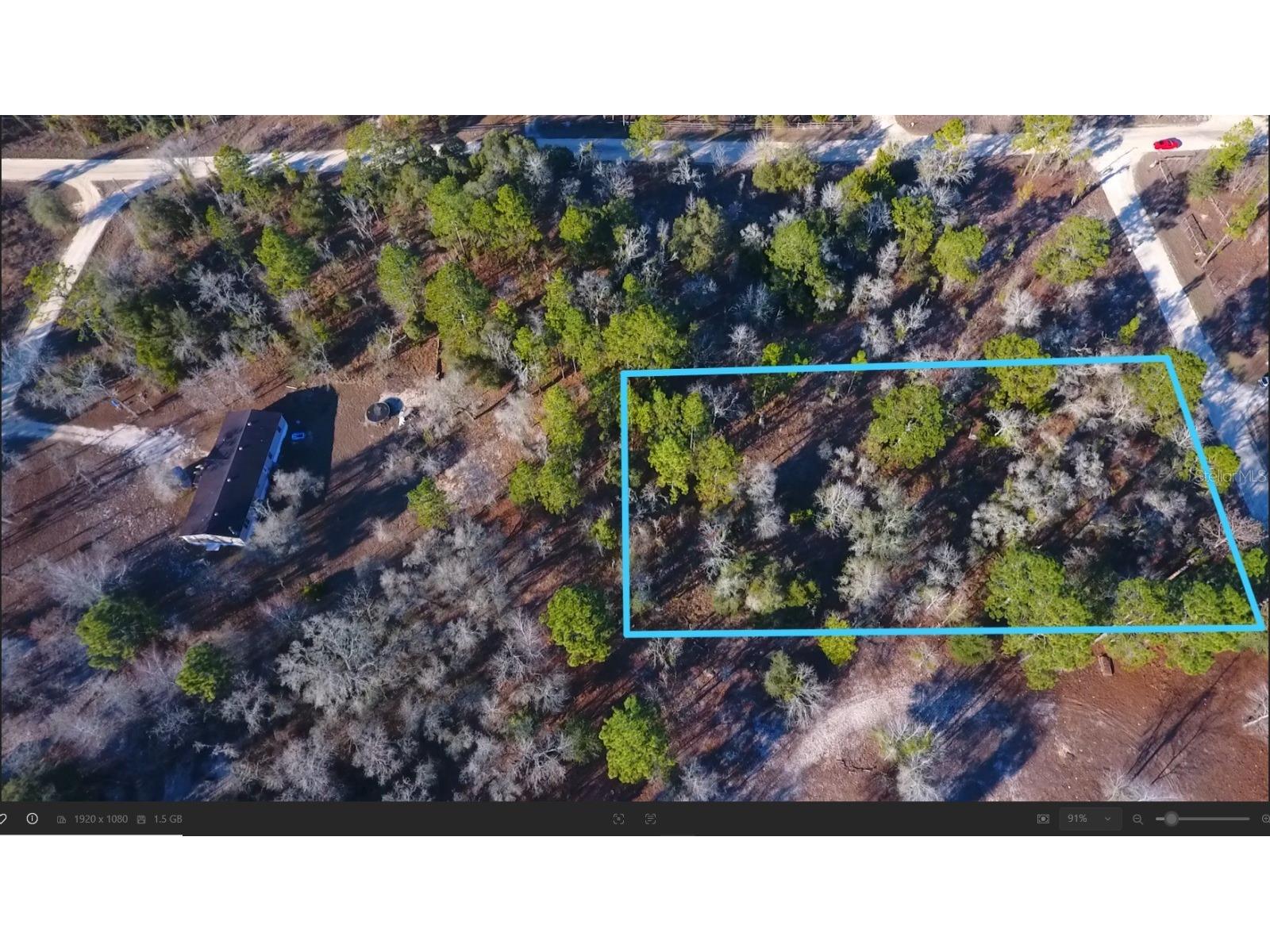 SE 137th Court Morriston FL 32668 OM717149 image2