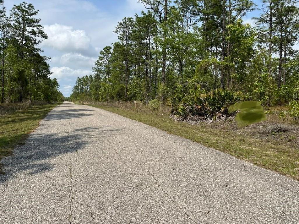 Se 139th Dunnellon FL 34431 A4531114 image1