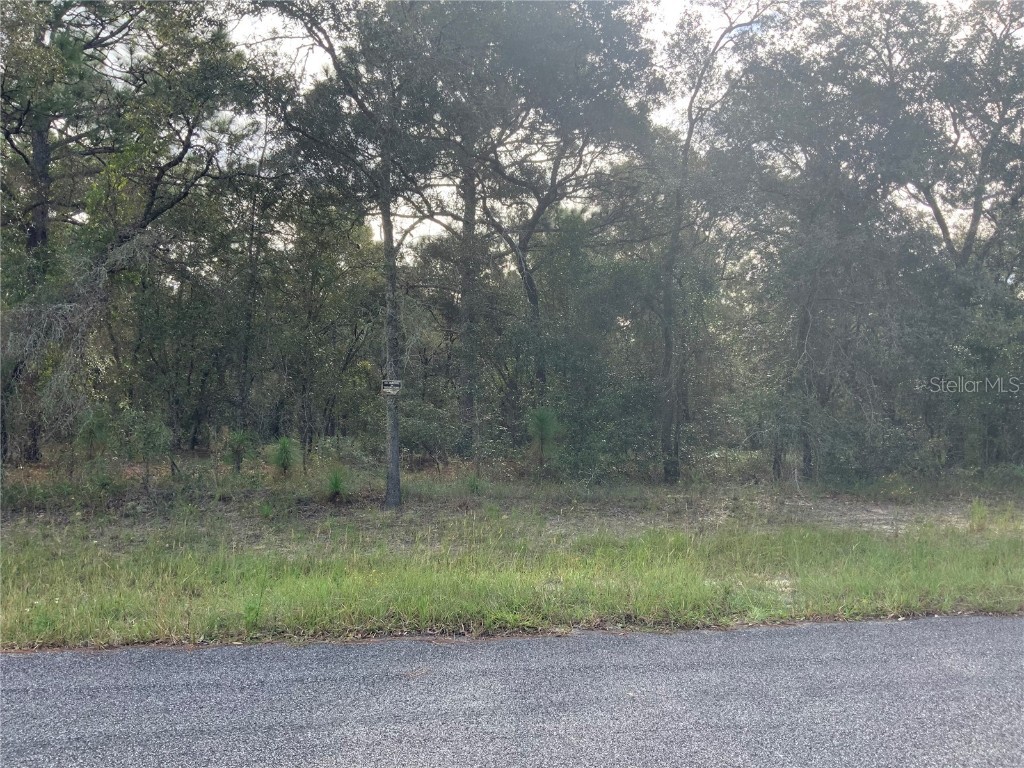 Se 139th Ter Lot 19 Morriston FL 32668 OM686451 image1