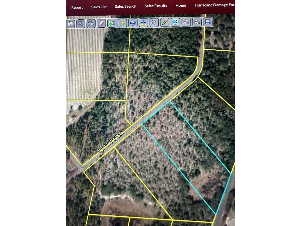 Se 139th Ter Lot 19 Morriston FL 32668 OM686451 image2