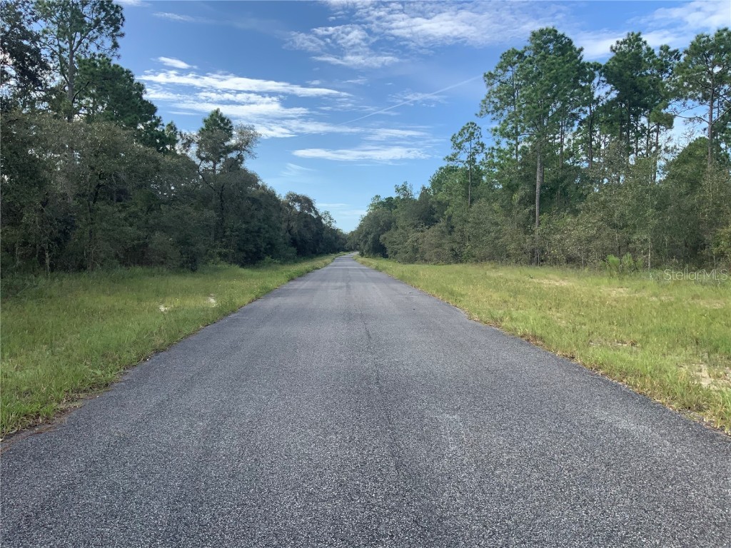 Se 139th Ter Lot 19 Morriston FL 32668 OM686451 image3
