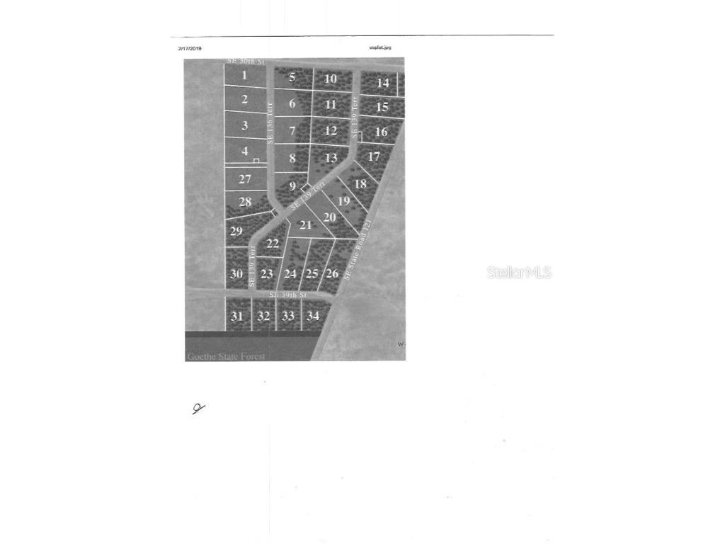 Se 139th Ter Lot 19 Morriston FL 32668 OM686451 image4