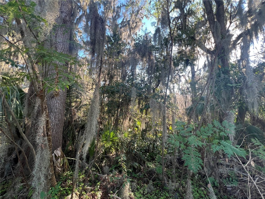 SE 14 Street Ocala FL 34470 OM695771 image5