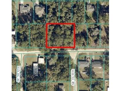 Se 140th Pl Summerfield FL 34491 OM683189 image1