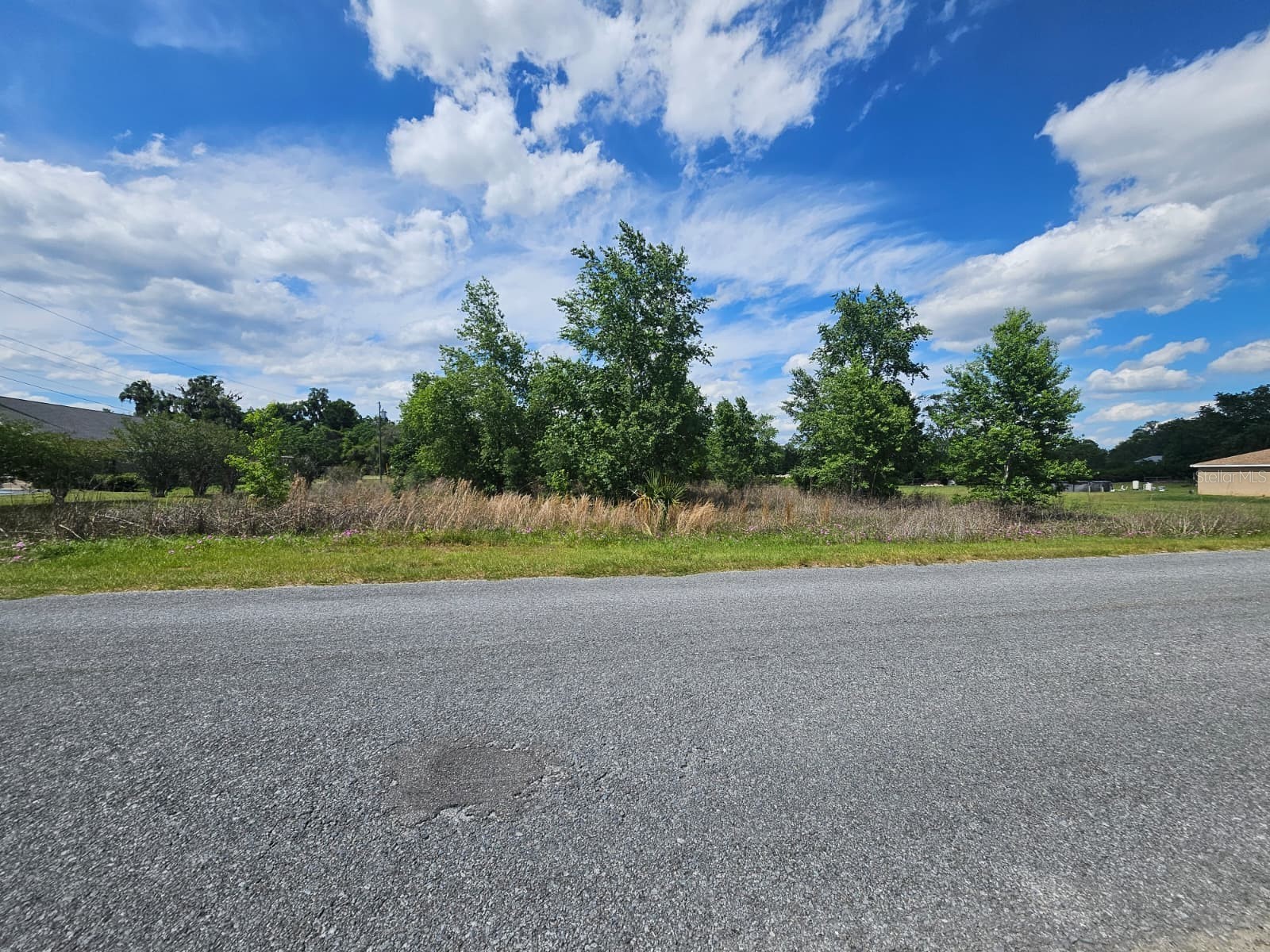 SE 140th Street Summerfield FL 34491 O6406469 image1