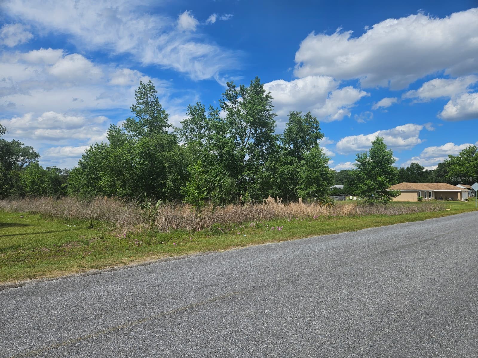 SE 140th Street Summerfield FL 34491 O6406469 image2