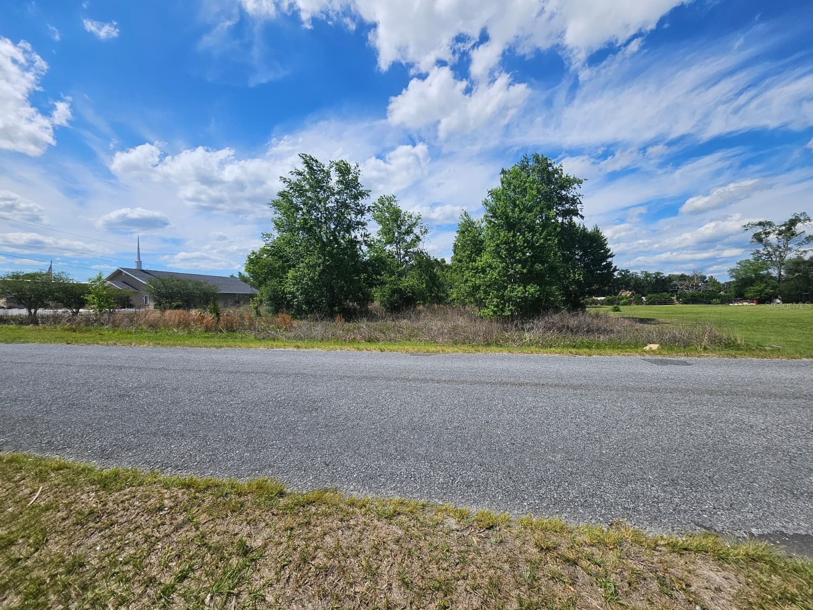 SE 140th Street Summerfield FL 34491 O6406469 image3