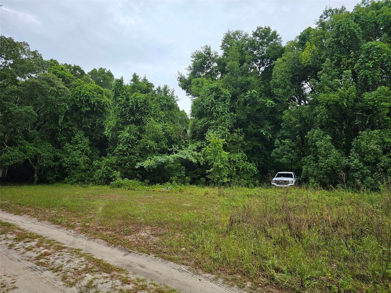 Se 140th Terrace Ocklawaha FL 32179 S5148046 image1