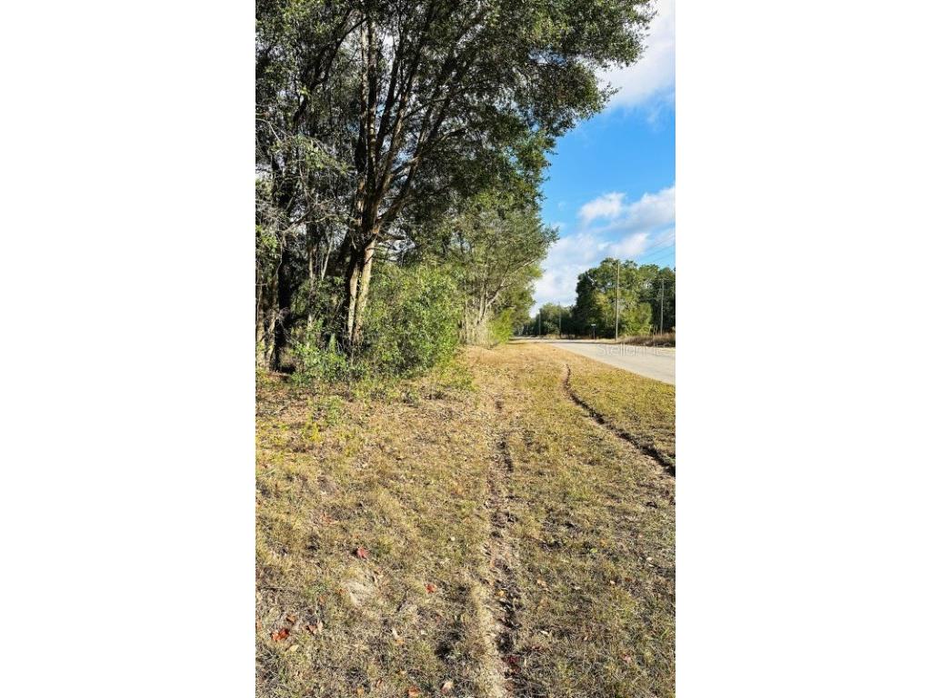 SE 141st Avenue Ocklawaha FL 32179 A4676127 image1