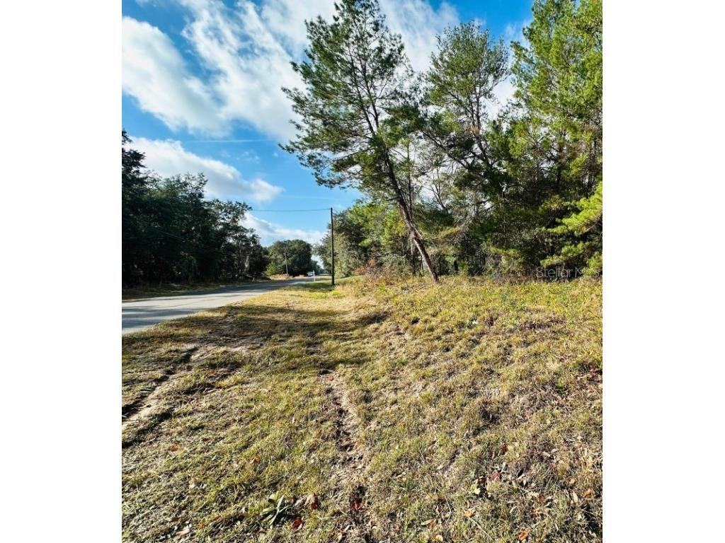 SE 141st Avenue Ocklawaha FL 32179 A4676127 image2
