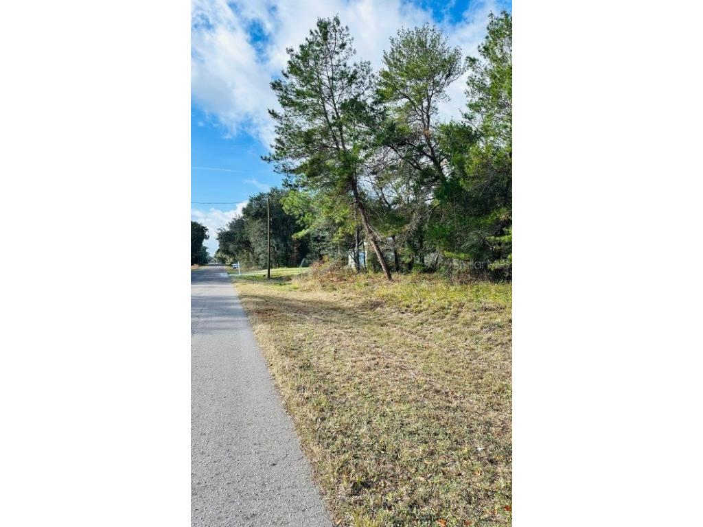 SE 141st Avenue Ocklawaha FL 32179 A4676127 image3