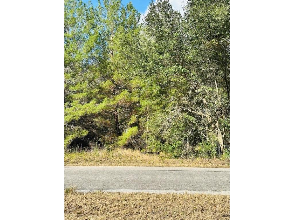SE 141st Avenue Ocklawaha FL 32179 A4676127 image4