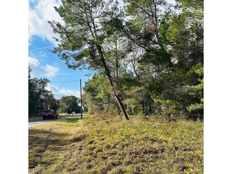 SE 141st Avenue Ocklawaha FL 32179 A4676127 image5