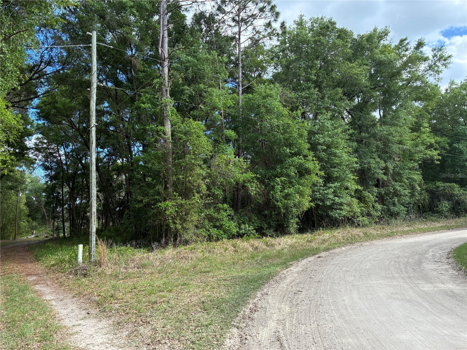 Se 142nd Ave And Se 120th Pl Ocklawaha FL 32179 G5110678 image1