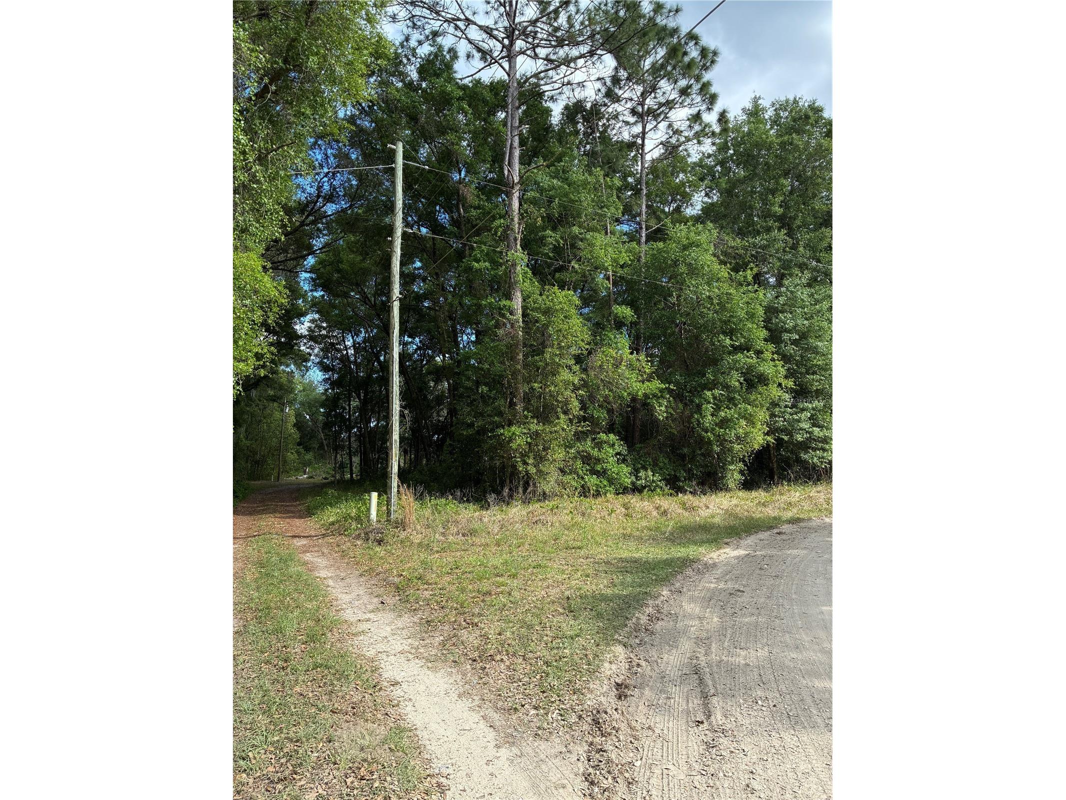 Se 142nd Ave And Se 120th Pl Ocklawaha FL 32179 G5110678 image2