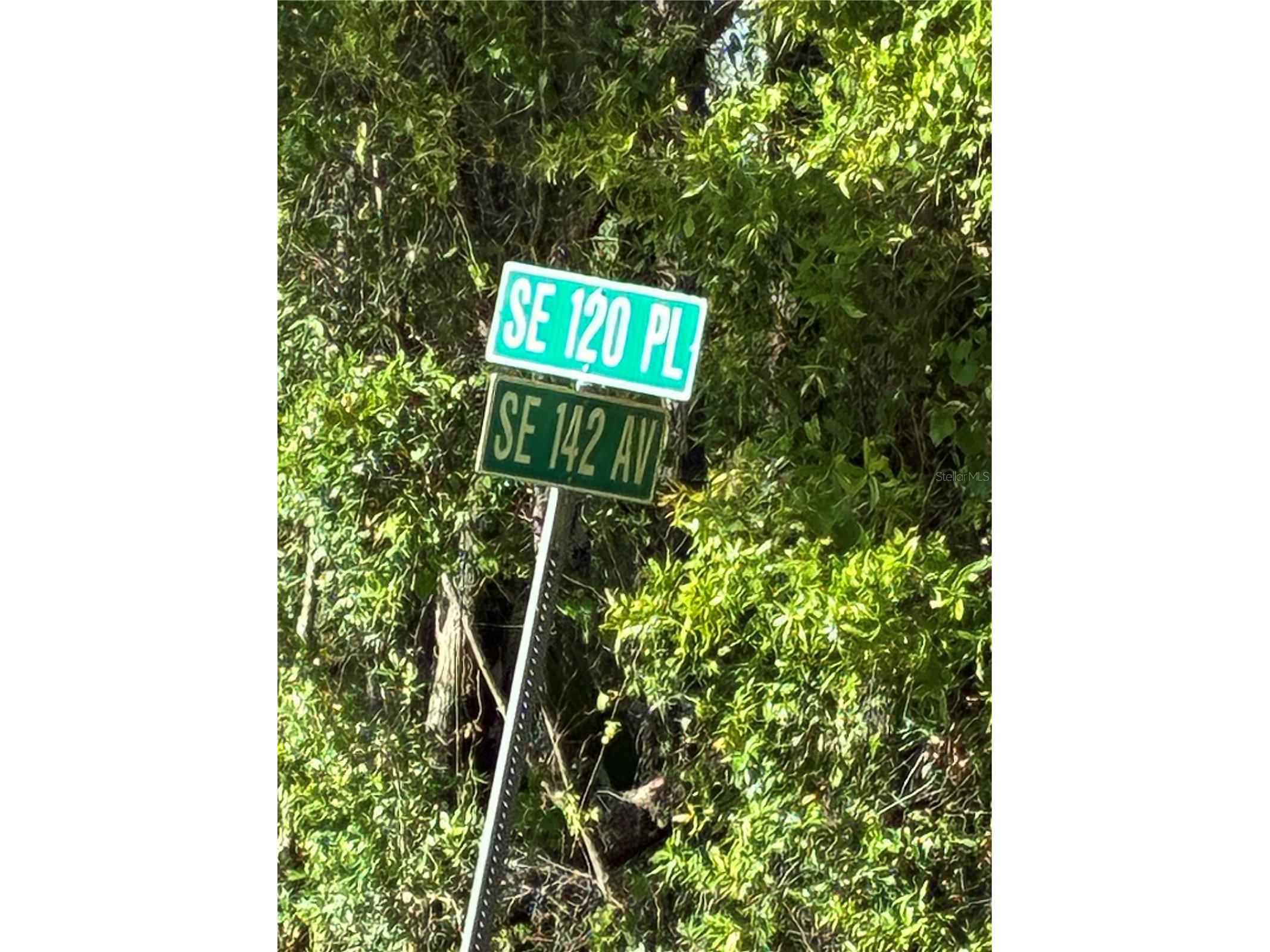 Se 142nd Ave And Se 120th Pl Ocklawaha FL 32179 G5110678 image3