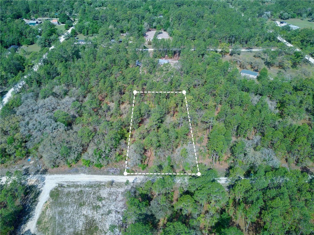 SE 142nd Court Morriston FL 32668 U8241535 image1