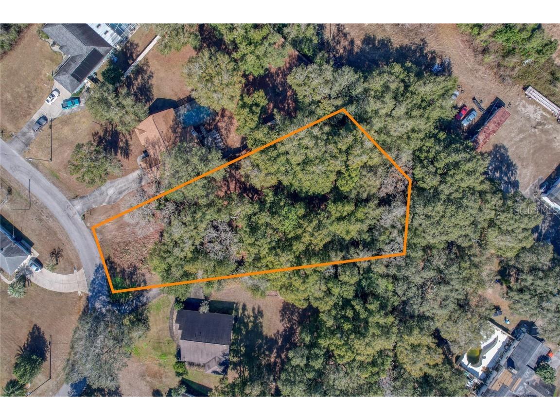 SE 143rd St Summerfield FL 34491 OM633921 image1