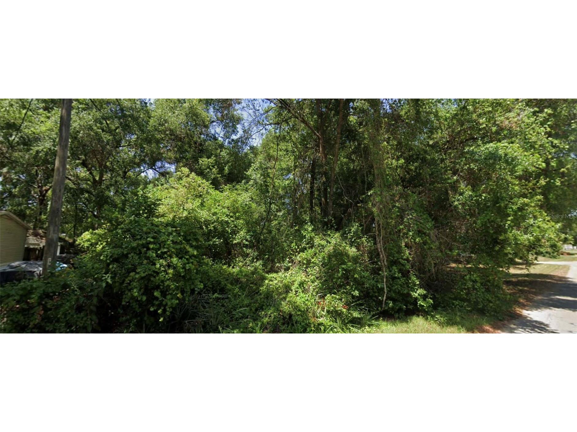 SE 144th Lane Summerfield FL 34491 O6355322 image1