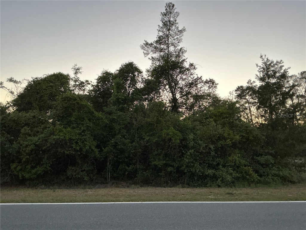 SE 145th Avenue Ocklawaha FL 32179 OM701672 image1