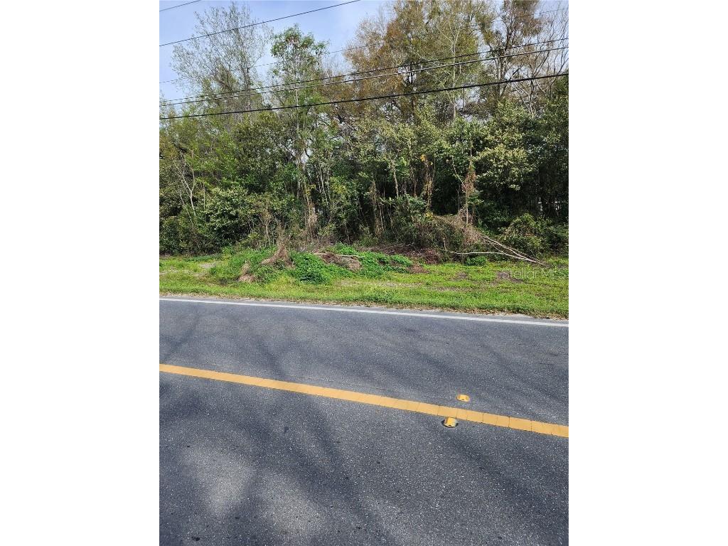 Se 145th Place Summerfield FL 34491 OM673924 image1