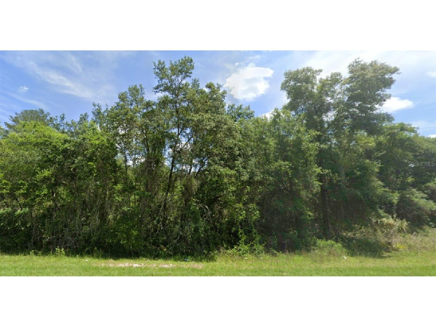 SE 145th Place Umatilla FL 32784 O6091009 image1