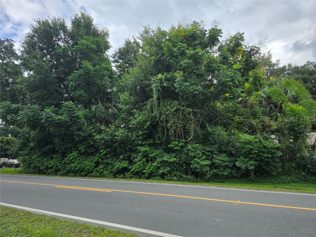 SE 145th Street Belleview FL 34420 G5087529 image1