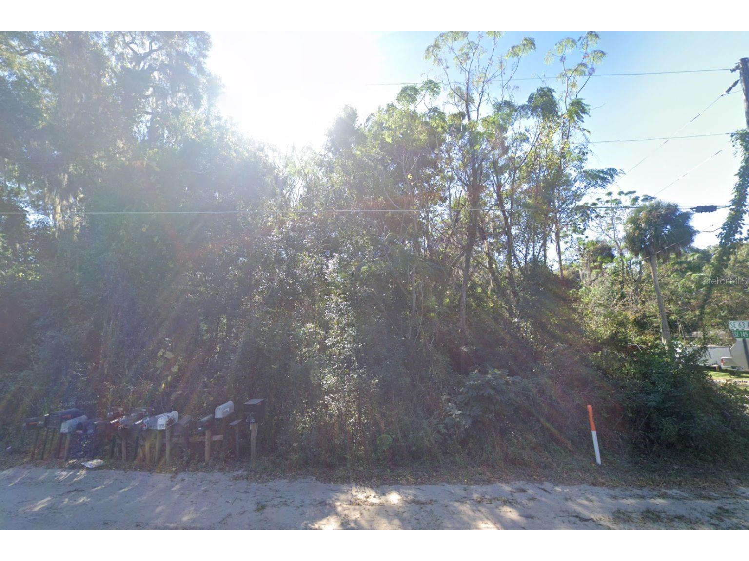 Se 145th Street Summerfield FL 34491 D6146993 image6