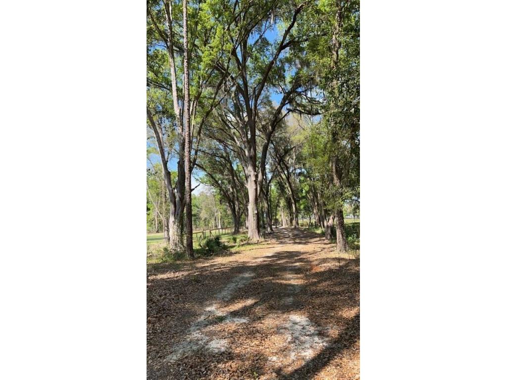 Se 145th Street Summerfield FL 34491 OM689683 image1