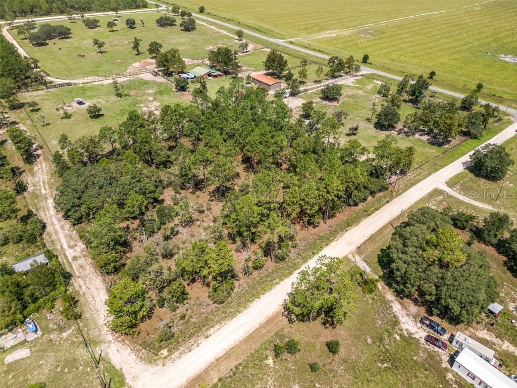 SE 146th Avenue Morriston FL 32668 O6233229 image1