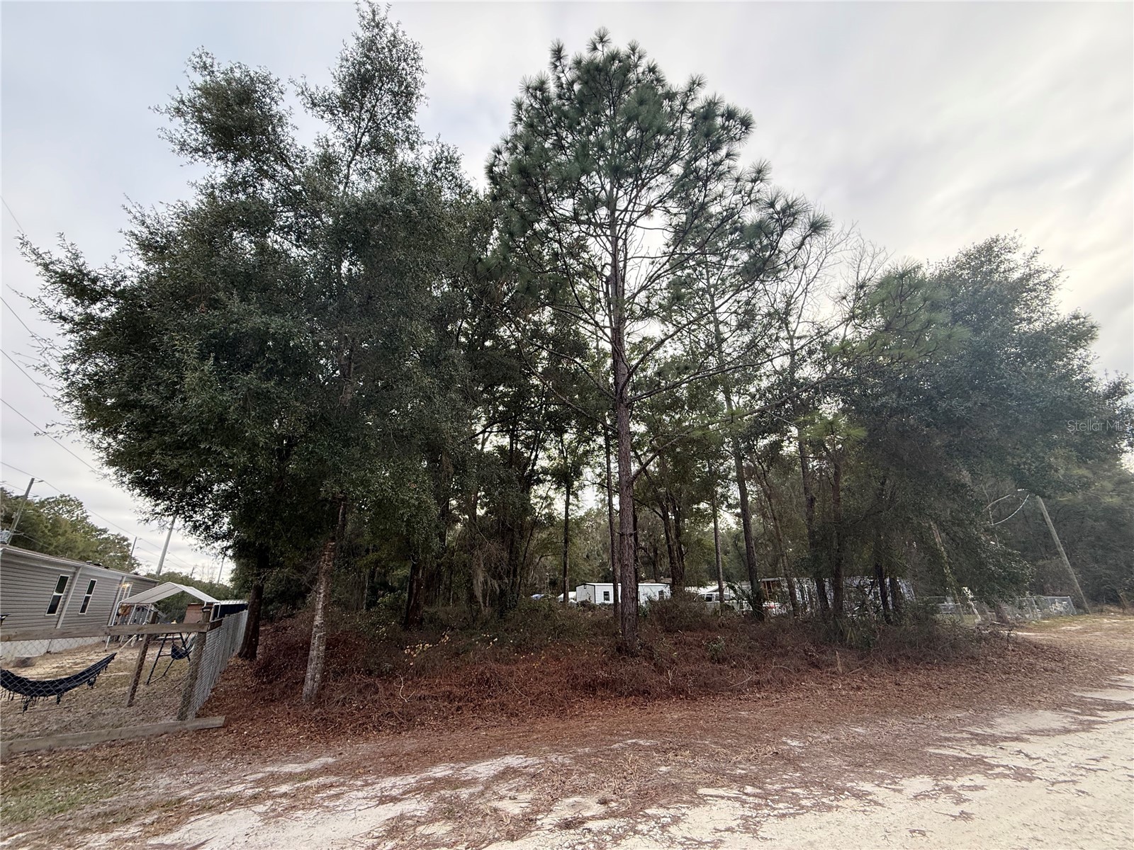 Se 147 Place Summerfield FL 34491 OM716595 image1