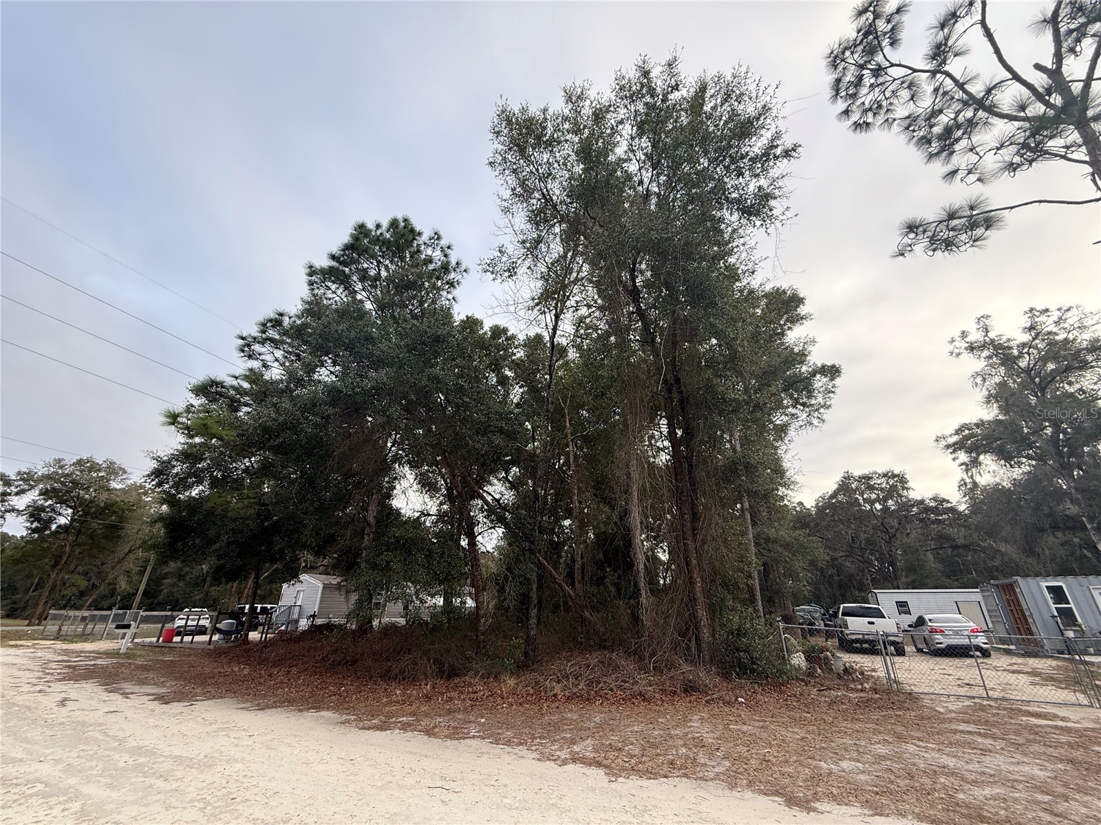 Se 147 Place Summerfield FL 34491 OM716595 image2