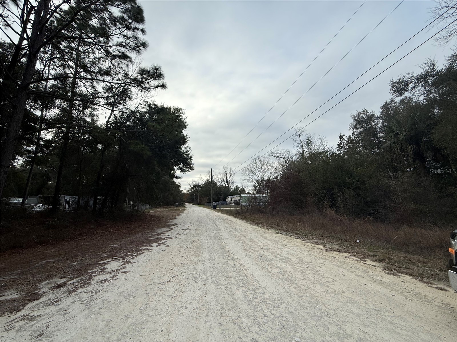 Se 147 Place Summerfield FL 34491 OM716595 image4