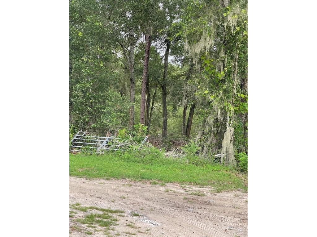 Se 150th Place Summerfield FL 34491 OM708637 image1