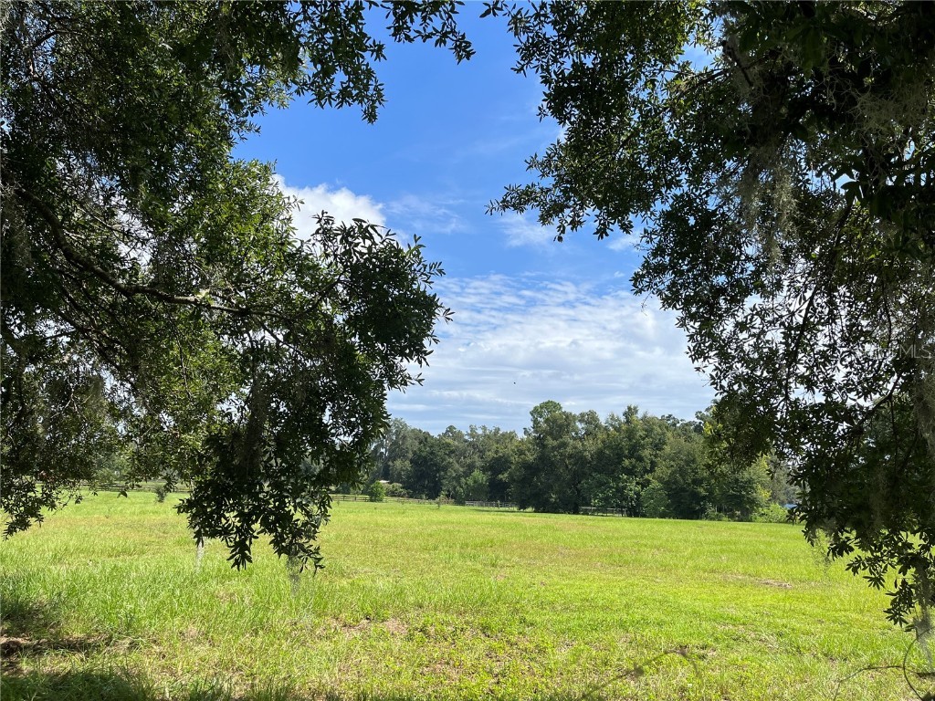 SE 150th St Summerfield FL 34491 OM684674 image1