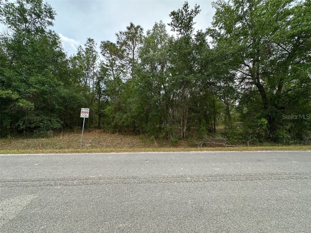 SE 152nd Lane Summerfield FL 34491 O6364254 image1